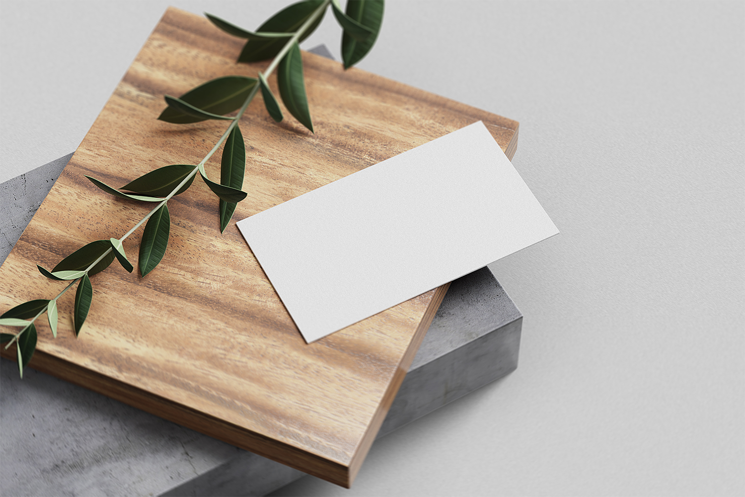 Download Free Minimal Business Card Mockups | Free Mockup