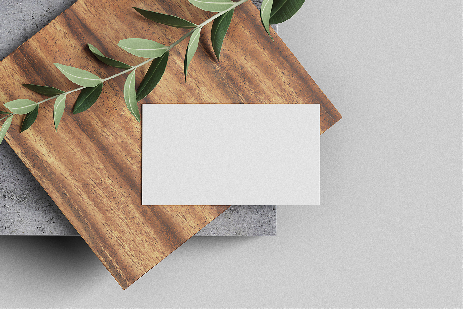 Download Free Minimal Business Card Mockups | Free Mockup