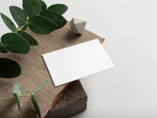 Free Business Card Mockup