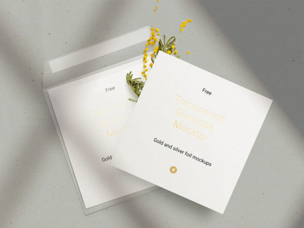 Free Envelope & Card Mockup