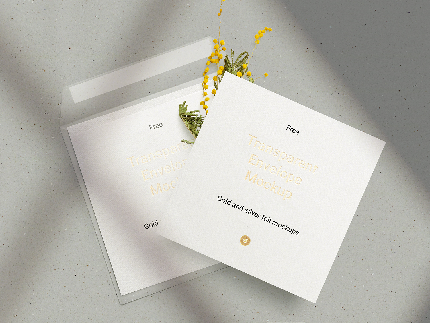 Download Free Envelope & Card Mockup | Free Mockup