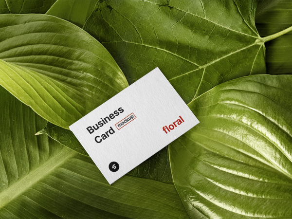 Free Floral Business Card Mockup