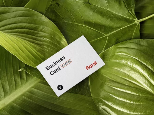 Floral Business Card Mockup