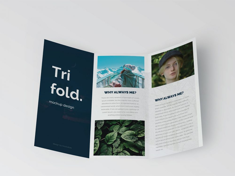 Trifold Brochure Mock-Up Free Download