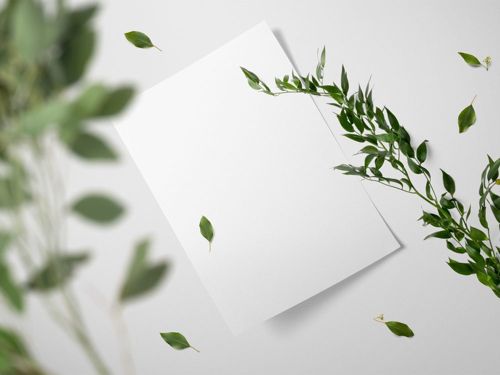 Floral Brand Paper Mockup Free