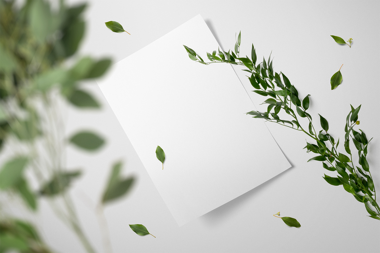 Download Floral Brand Paper Mockup Free | Free Mockup