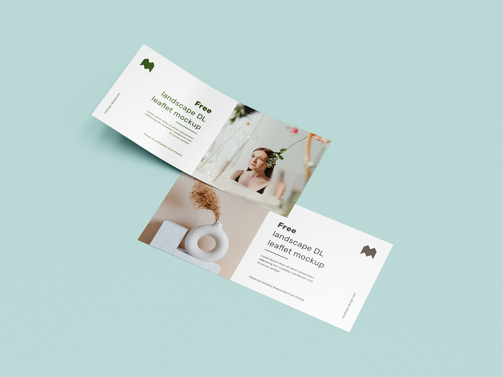 Free Landscape DL Leaflet Mockup