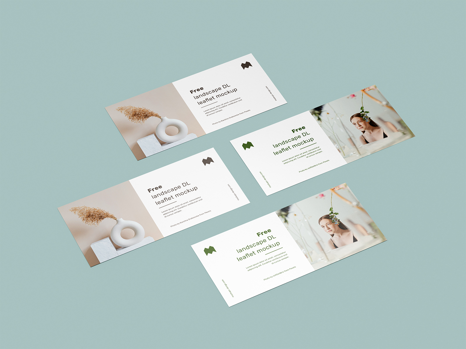 Free Landscape DL Leaflet Mockup