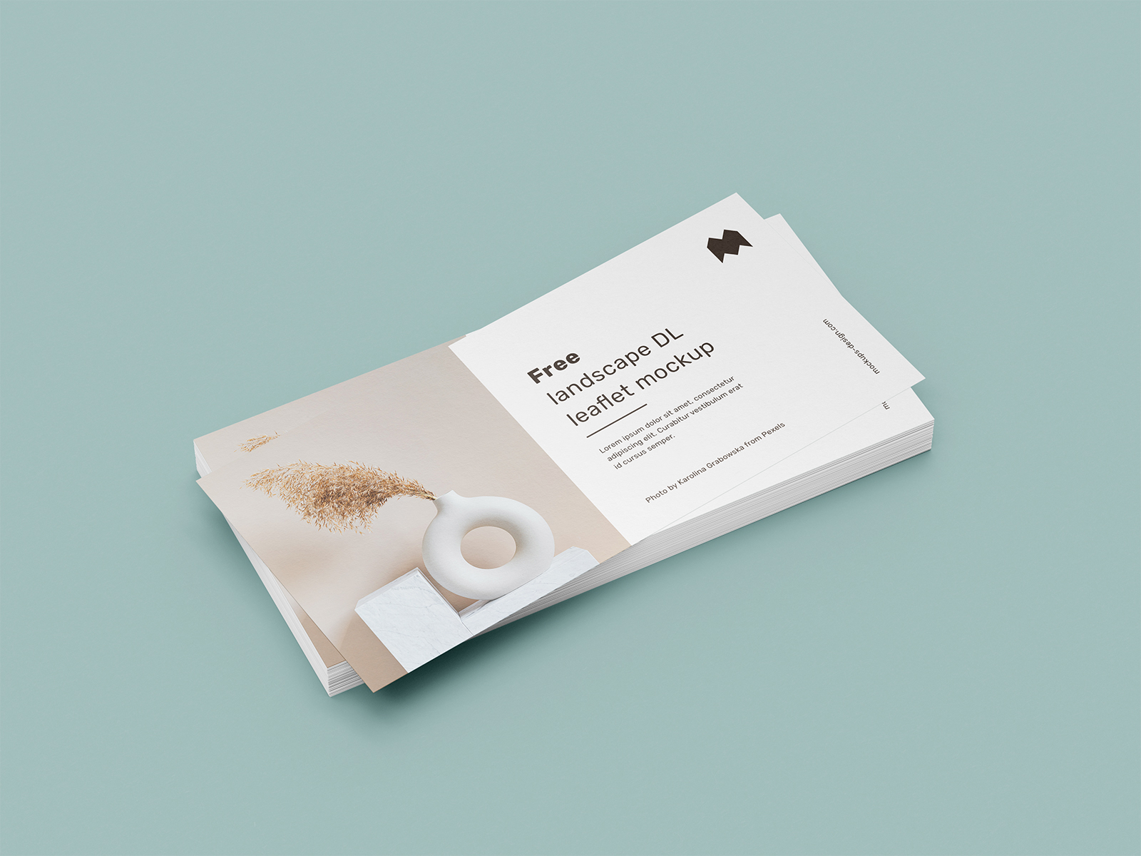Free Landscape DL Leaflet Mockup