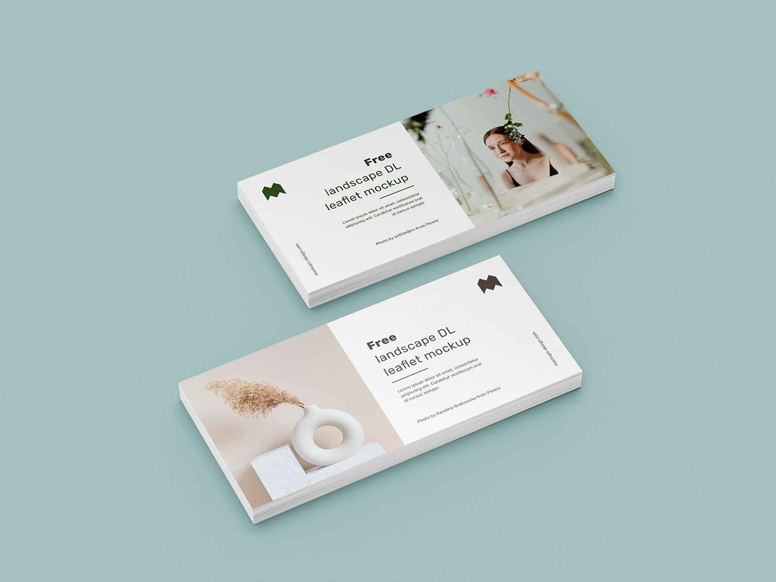Free Landscape DL Leaflet Mockup