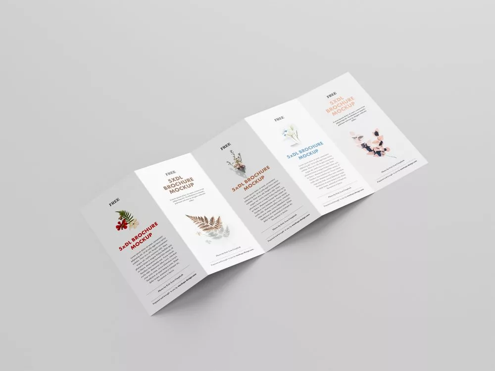 5 Fold Accordion Brochure Mockup
