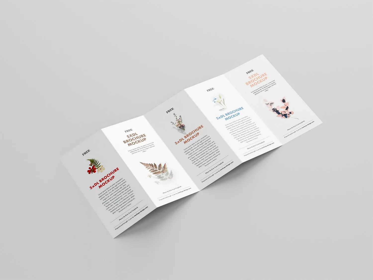 5 Fold Accordion Brochure Mockup Free Mockup