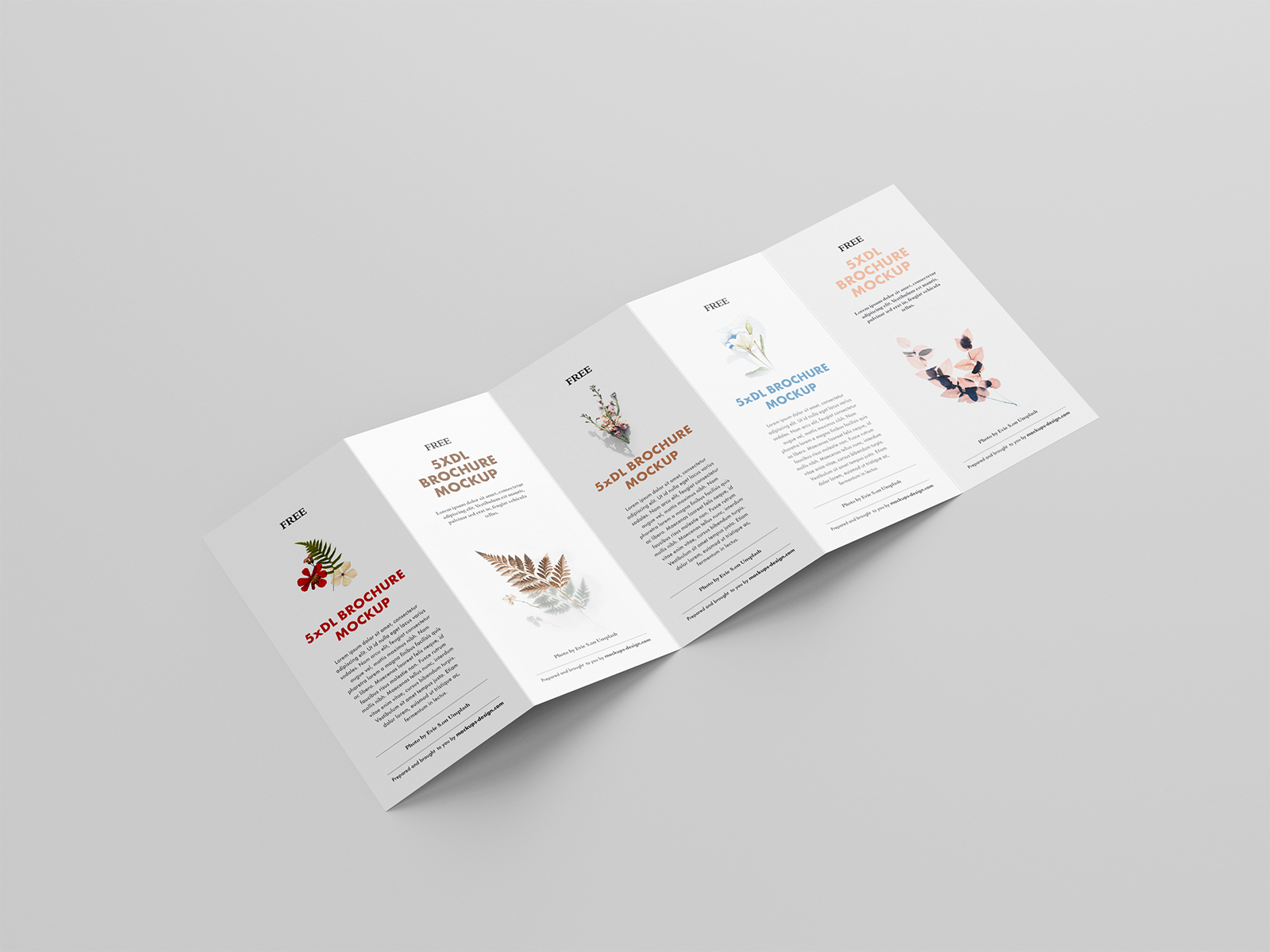 Download 5 Fold Accordion Brochure Mockup Free Mockup