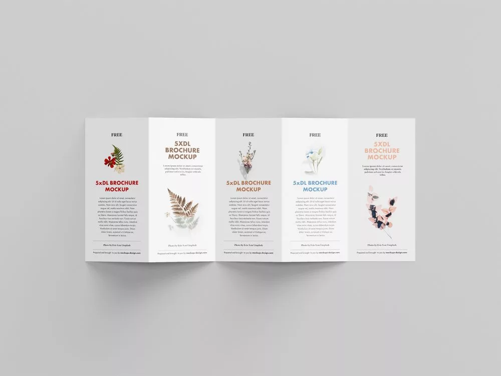 5 Fold Accordion Brochure Mockup