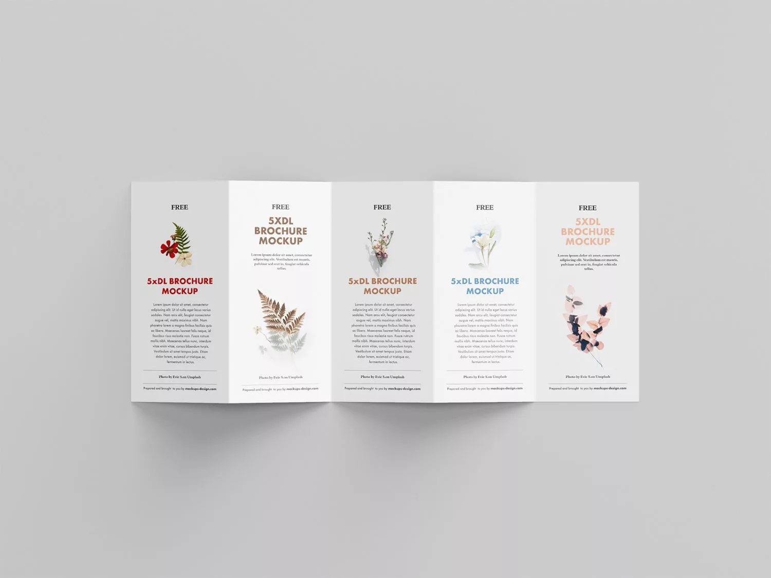 5 Fold Accordion Brochure Mockup Free Mockup