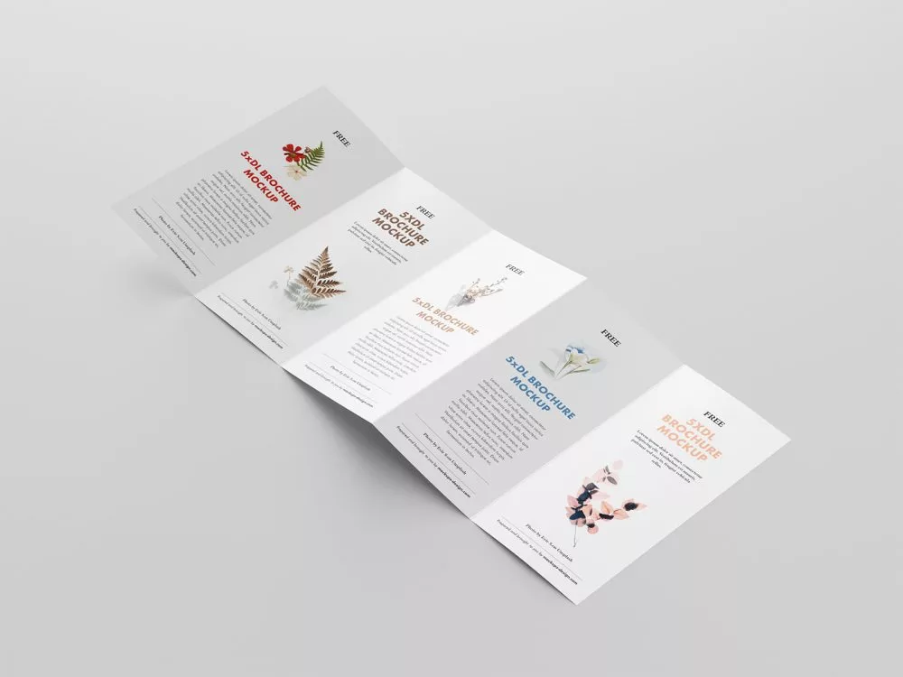 5 Fold Accordion Brochure Mockup