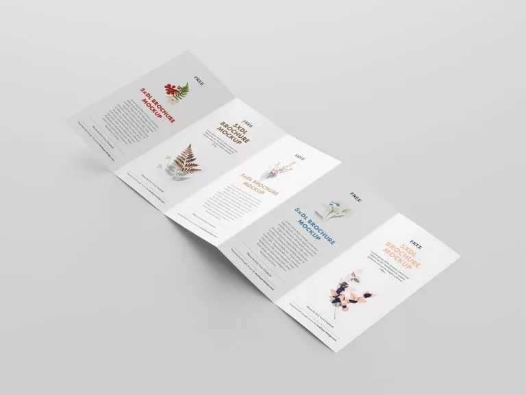 5 Fold Accordion Brochure Mockup Free Mockup