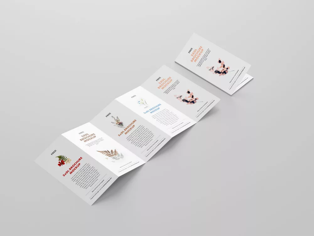 5 Fold Accordion Brochure Mockup