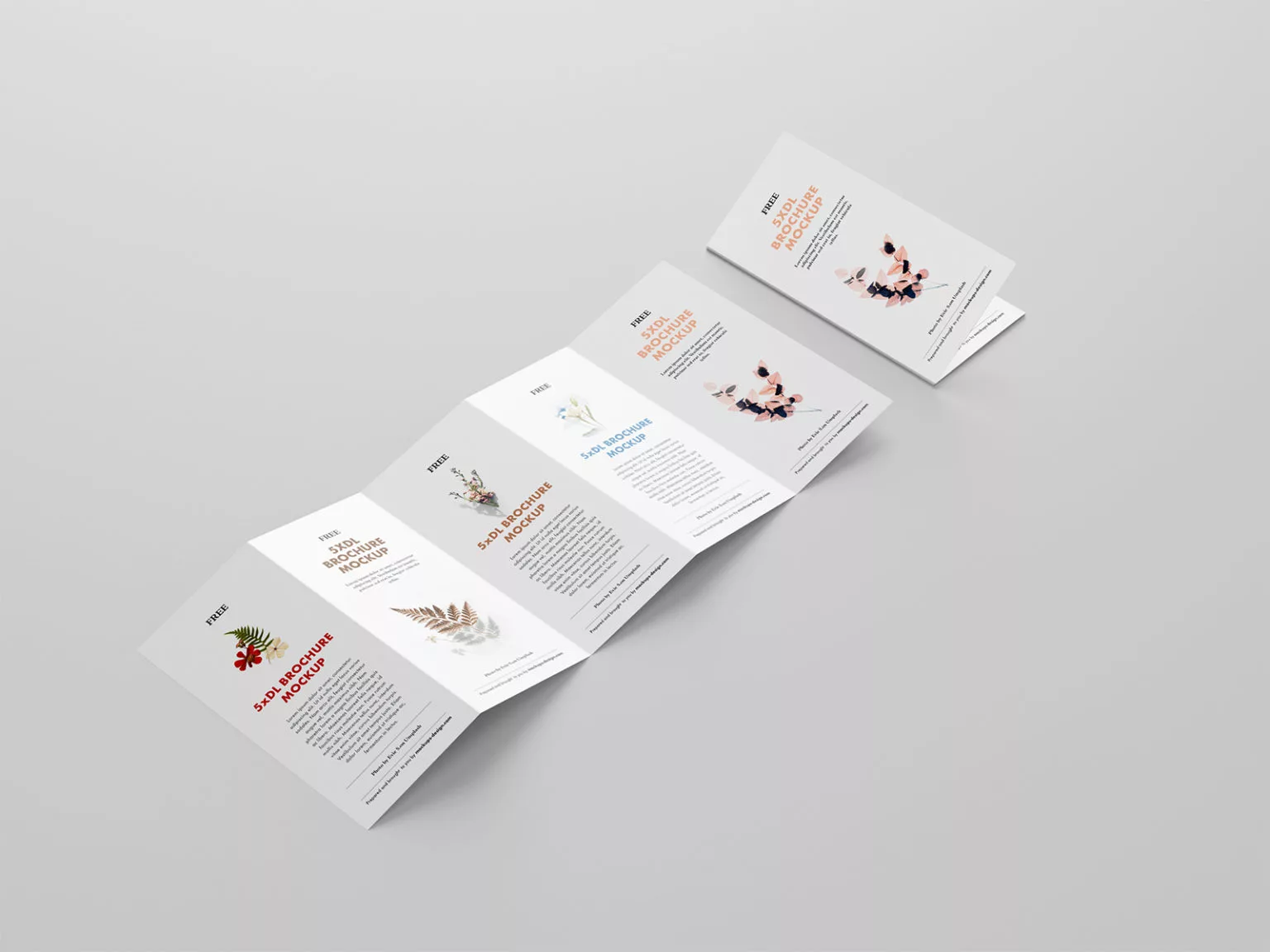 5 Fold Accordion Brochure Mockup Free Mockup