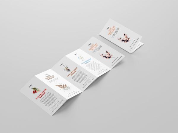 5 Fold Accordion Brochure Mockup