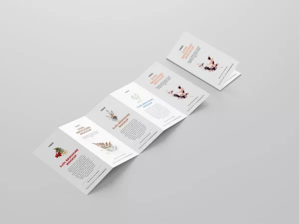 5 Fold Accordion Brochure Mockup