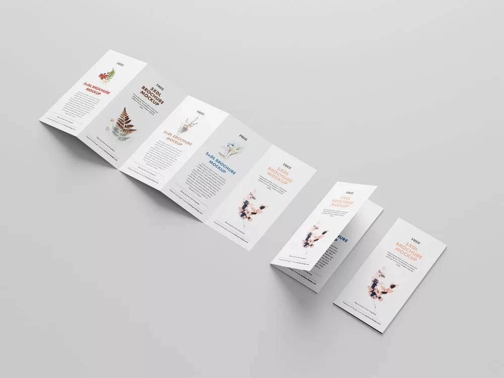 5 Fold Accordion Brochure Mockup