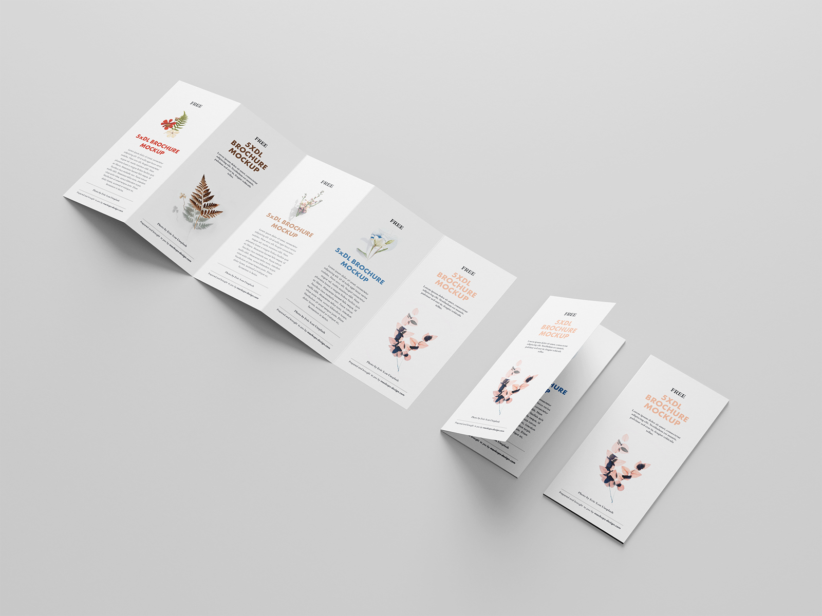 Download 5 Fold Accordion Brochure Mockup Free Mockup