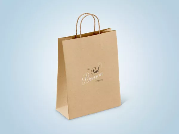 Paper Bag Mockup Set