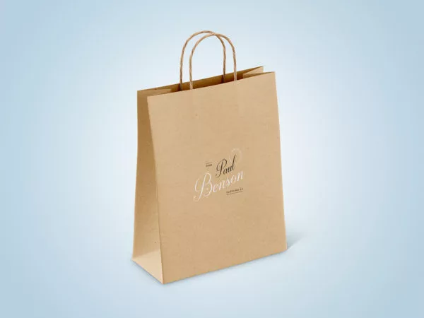 Paper Bag Mockup Set