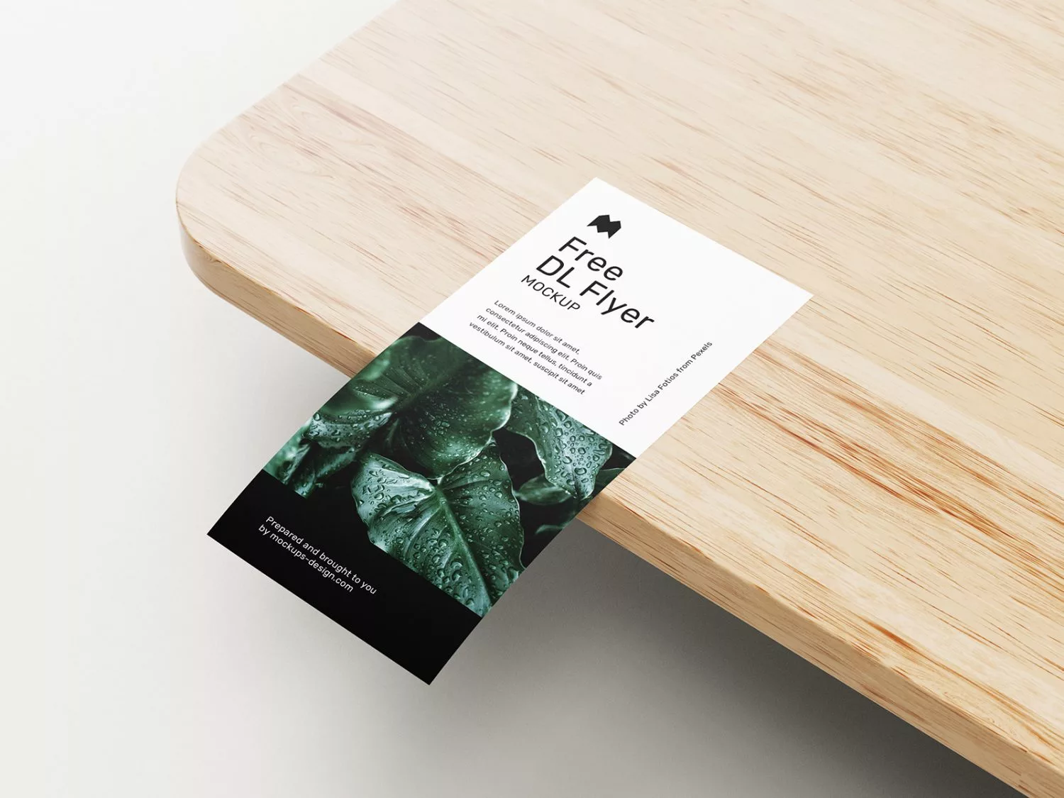 DL Flyer Free Mockups 02 Free Mockup