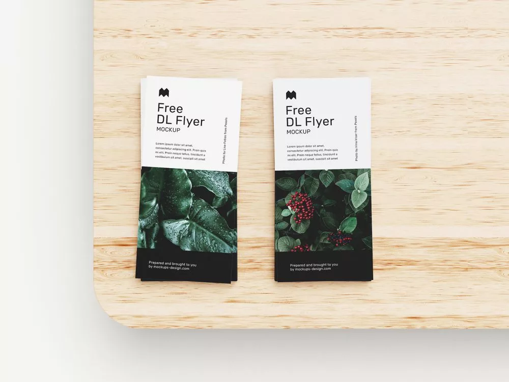 DL Flyer Free Mockups