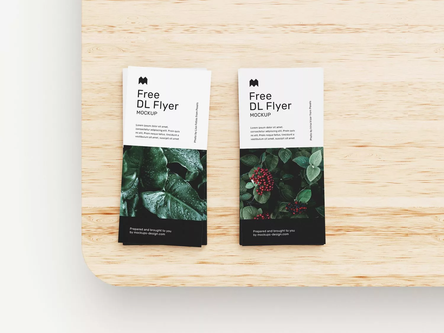 DL Flyer Free Mockups 04 Free Mockup