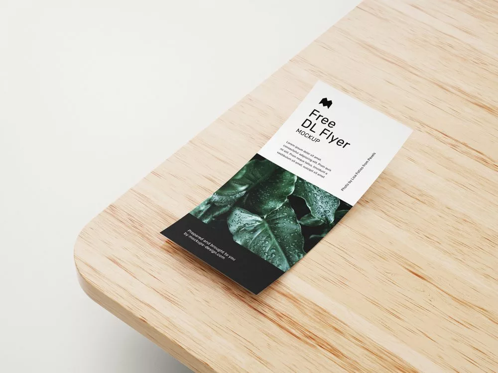 DL Flyer Free Mockups
