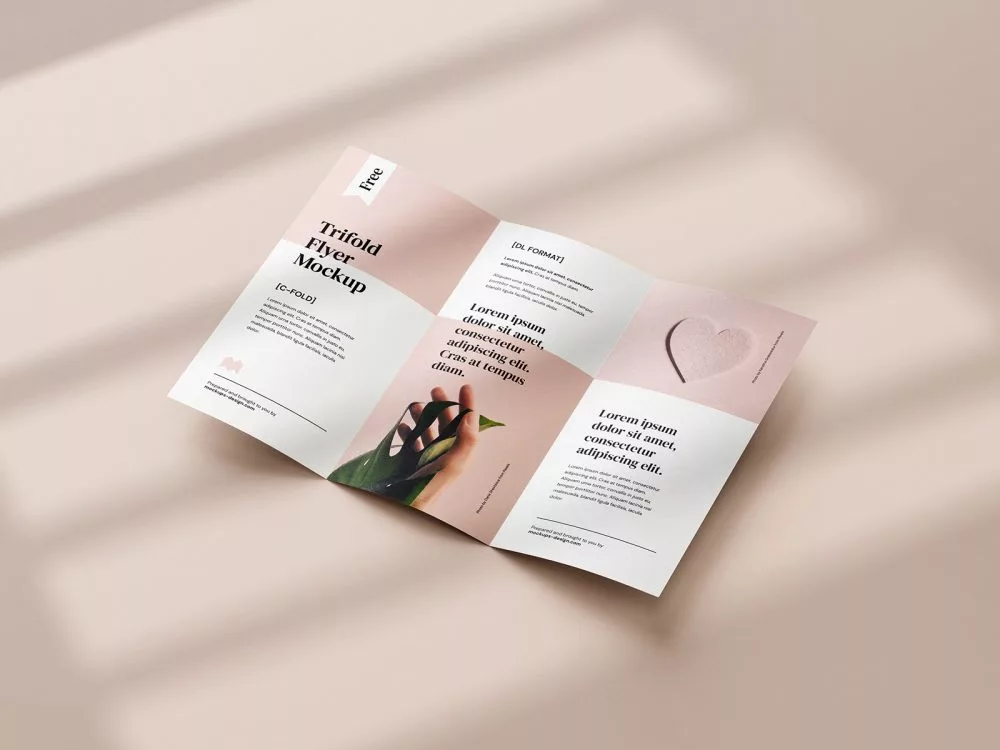Free Tri-Fold DL Flyer Mockup