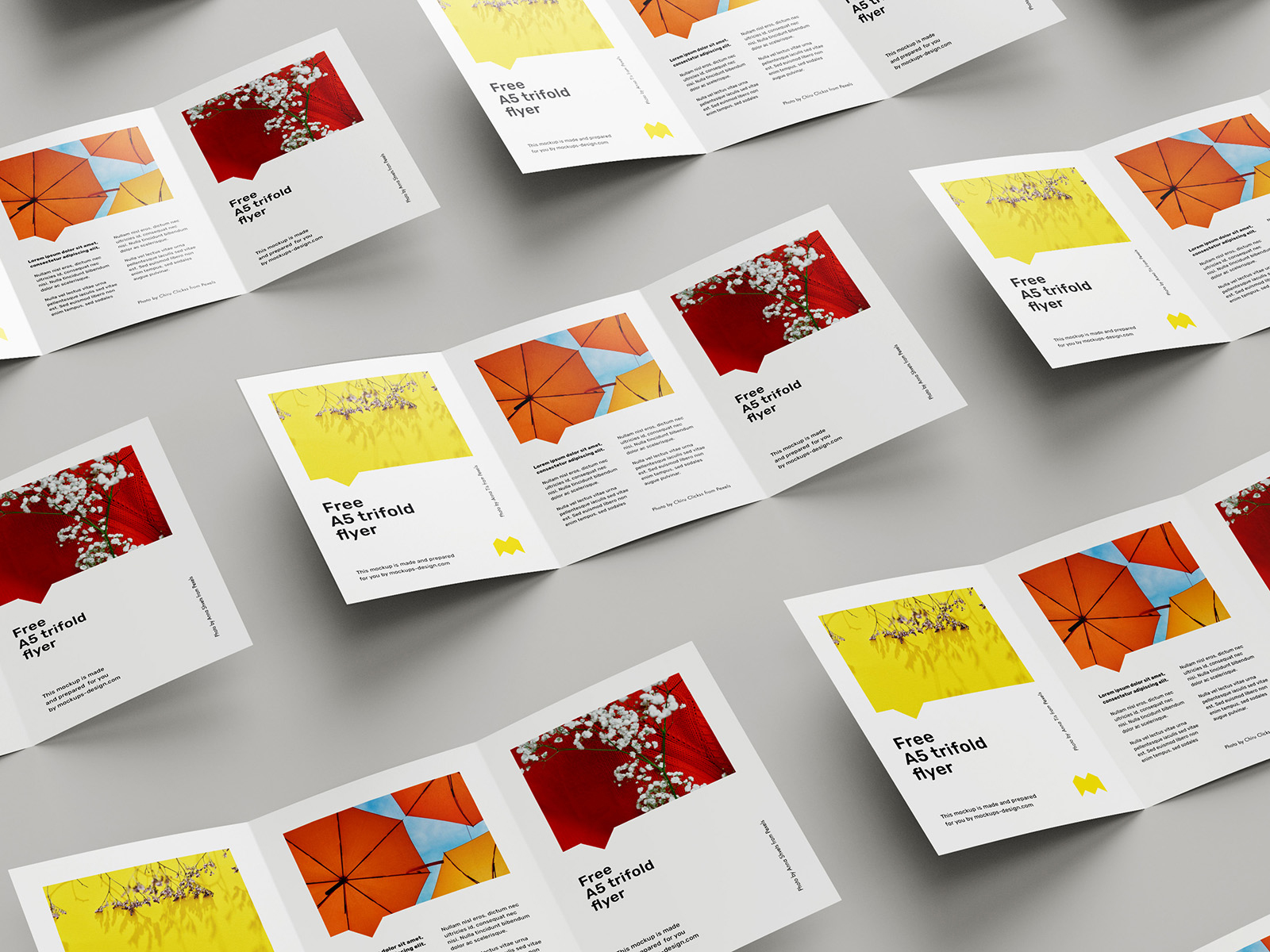 Download Brochure Mockups Free Mockup