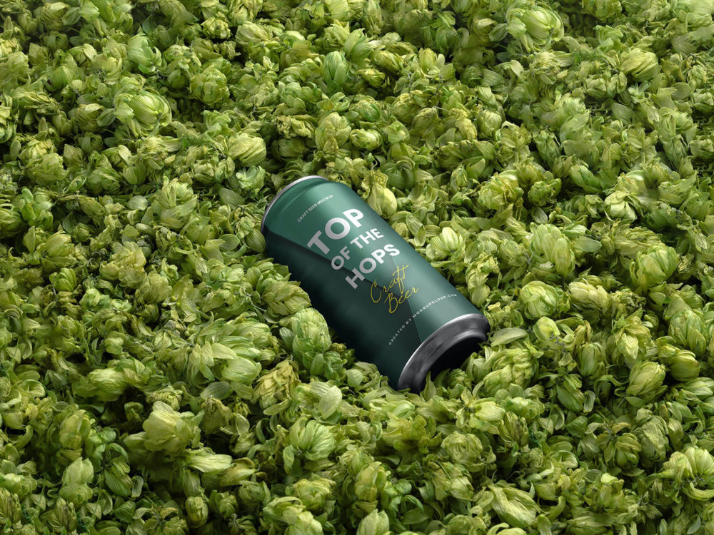 Free Beer Can Mockup Surrounded Hops Flowers