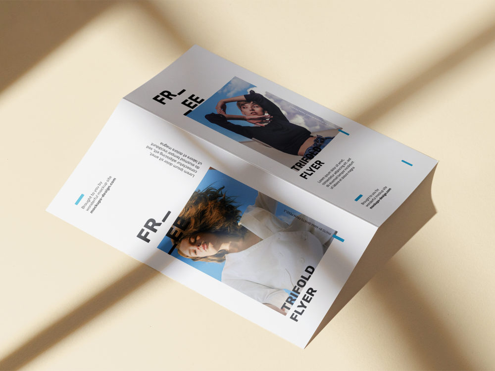 Free Bi-Fold DL Flyer Mockup