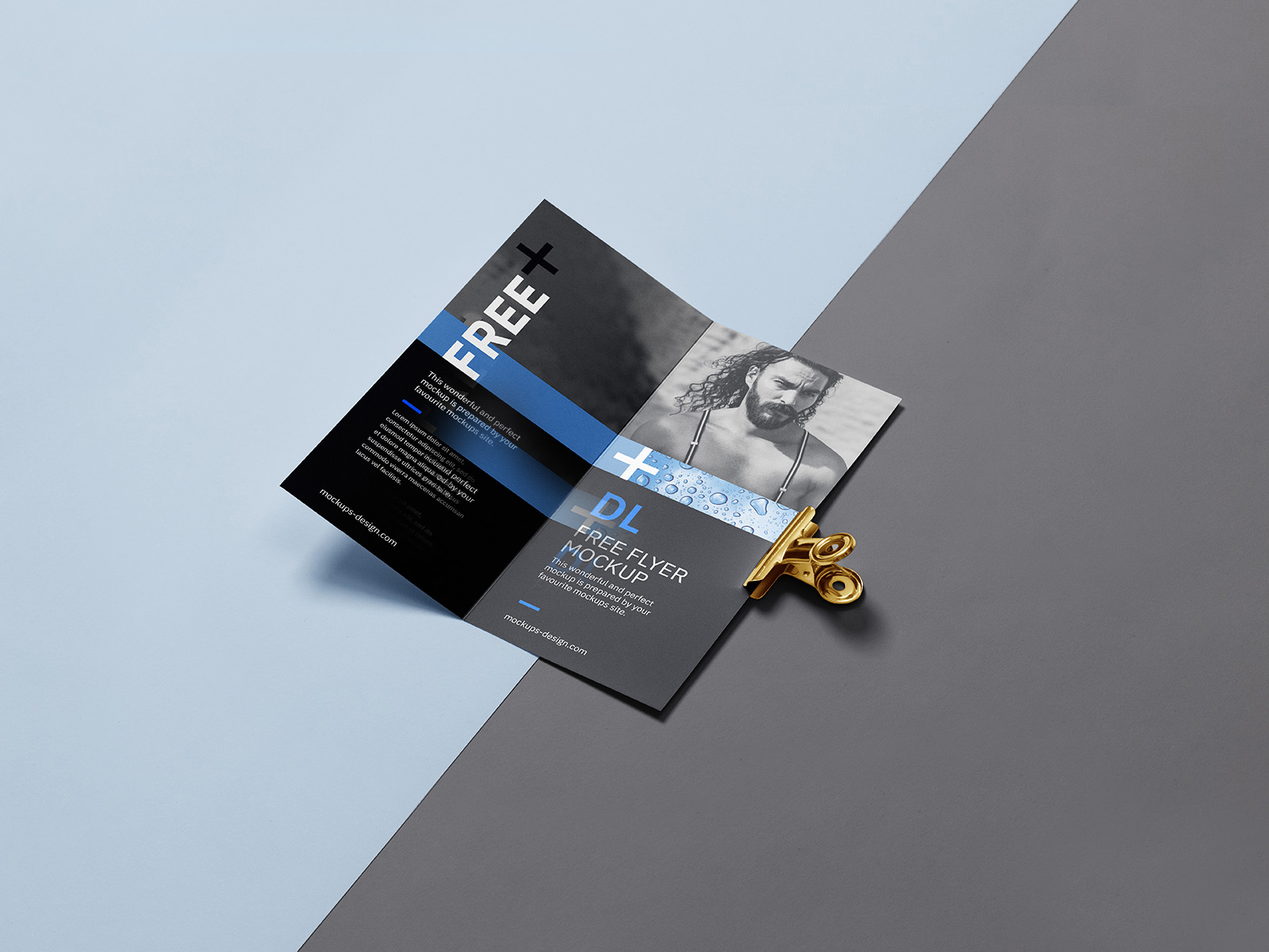 Free Bi-Fold DL Flyer Mockup