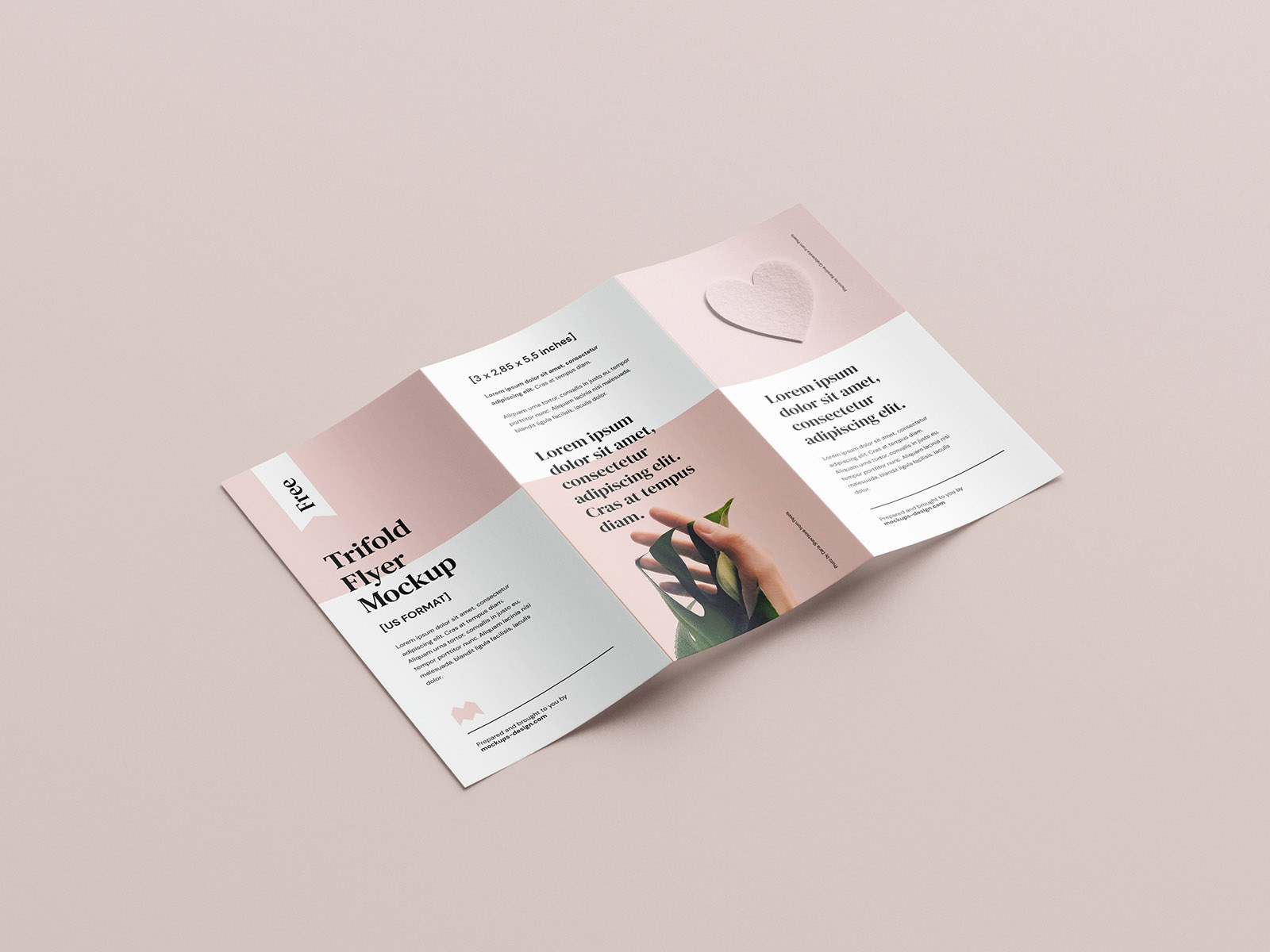 Flyer Free Mockup Scene