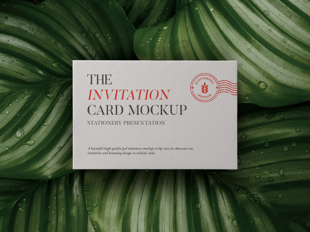 Invitation Card Free PSD Mockup