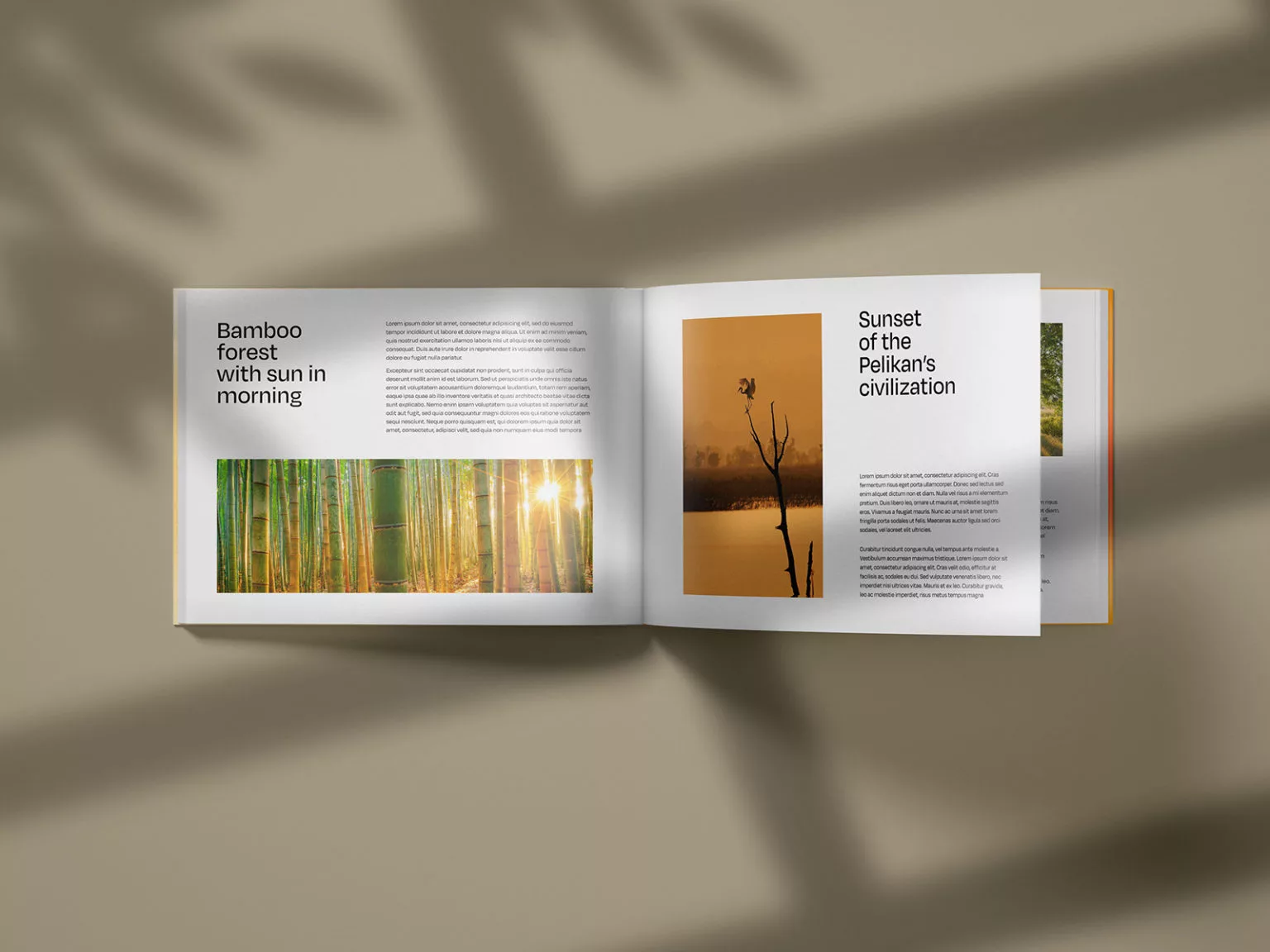 Free Catalog mockup The Free Mockup