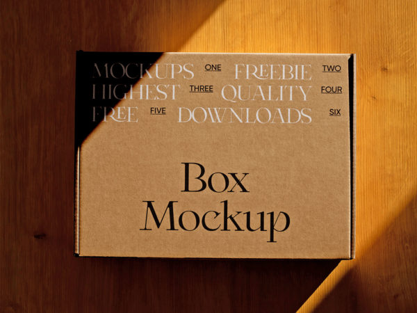 Pinch Lock Box Free Mock-Up Top View