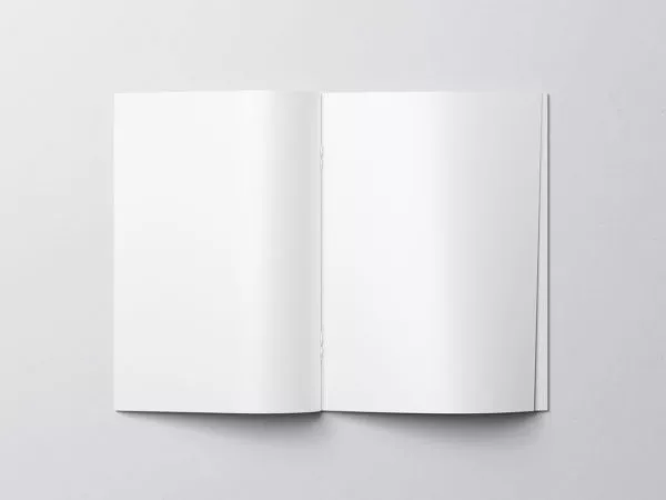 Magazine/Catalog Pages Free Mockup