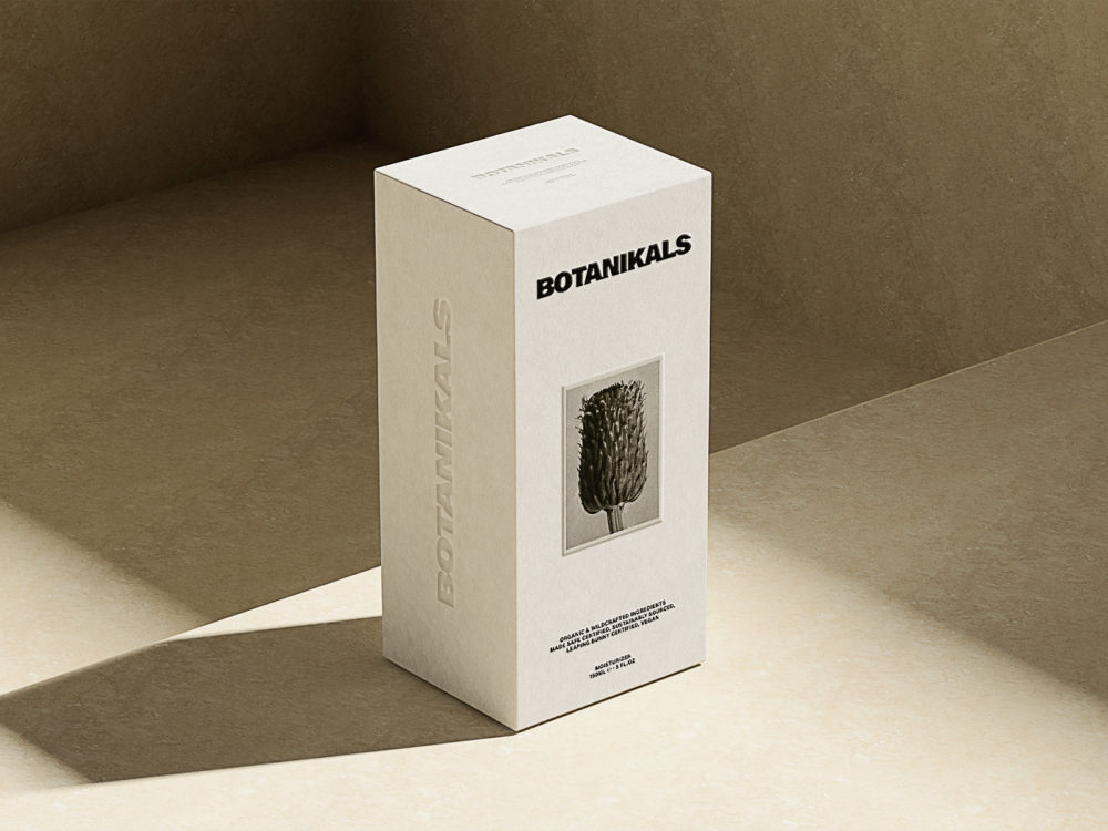 Rectangular Box Packaging – Free Branding Mockup
