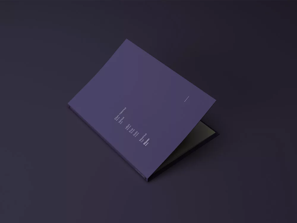 A4 Brand Folder Stationery Mockup