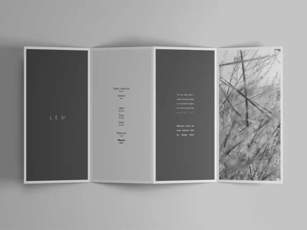 4 Fold Brochure Mockup