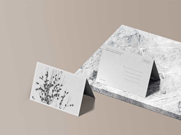 Bifold Postcard Mockup Free PSD