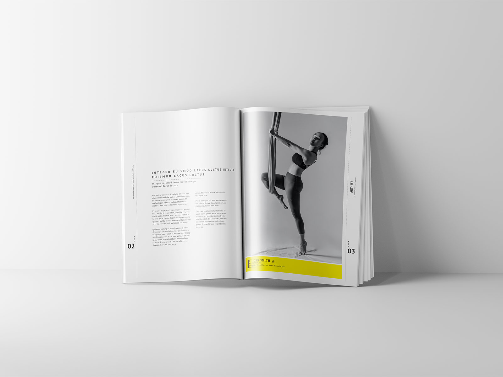Open Softcover Book Free Mockups