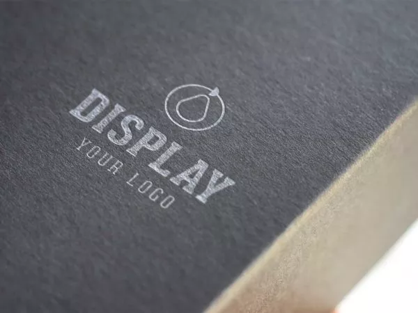 Two Logo Mockups