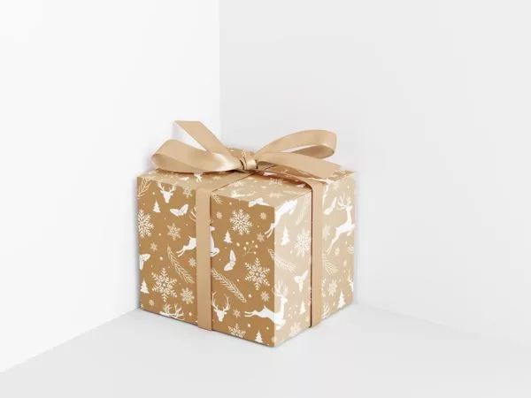 Gift box mockup free set
